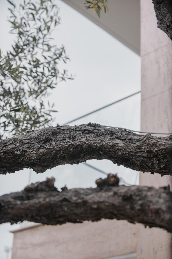 Vila Natali Himare Bagian luar foto