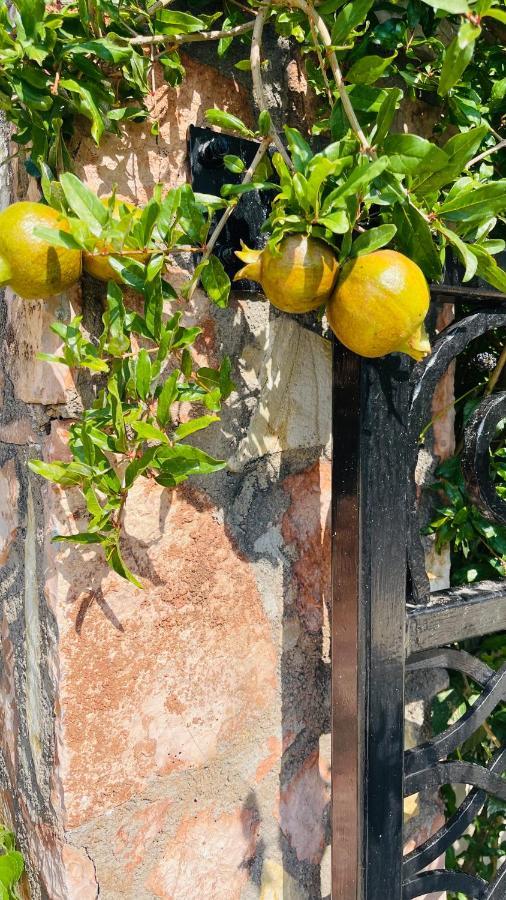 Vila Natali Himare Bagian luar foto